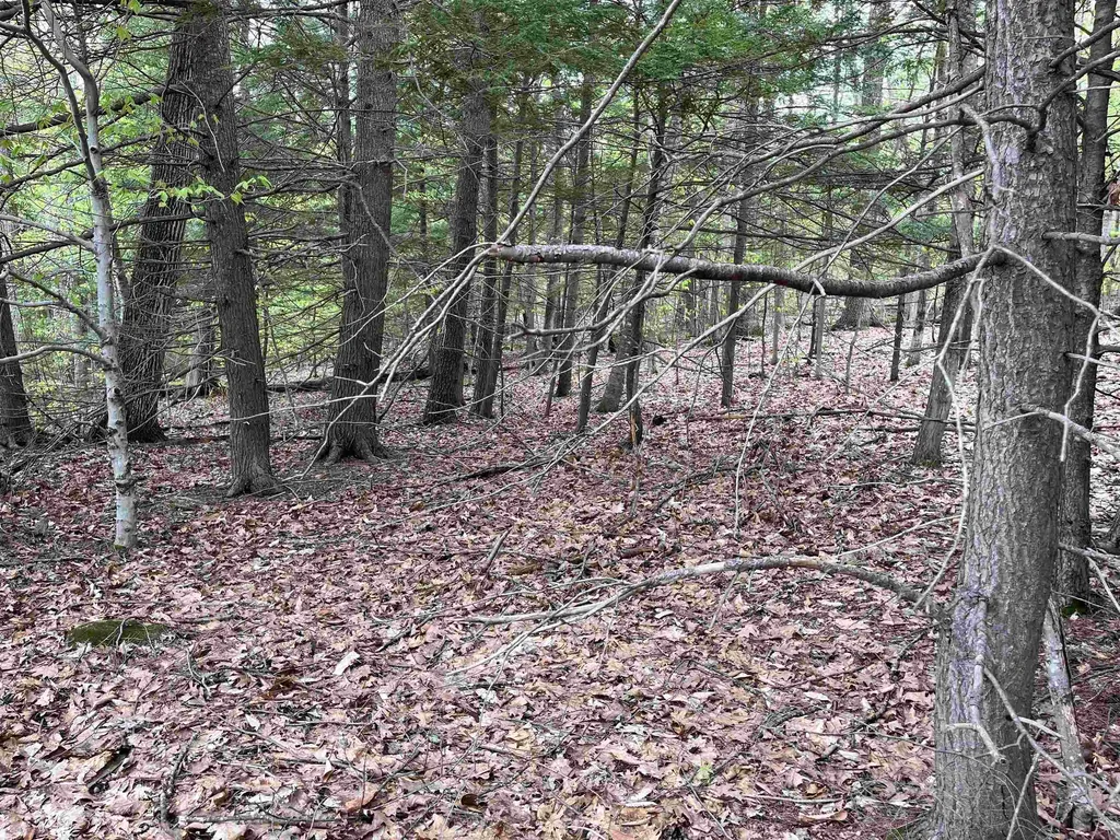 Lot 81 Plumer Hill Road Alexandria NH 03222