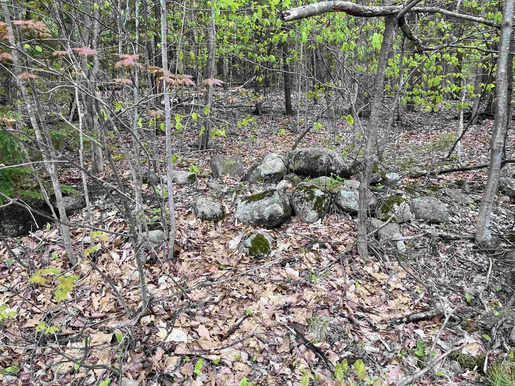 Lot 81 Plumer Hill Road Alexandria NH 03222