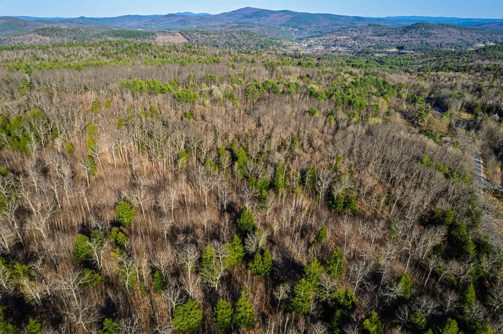 Lot 81 Plumer Hill Road Alexandria NH 03222