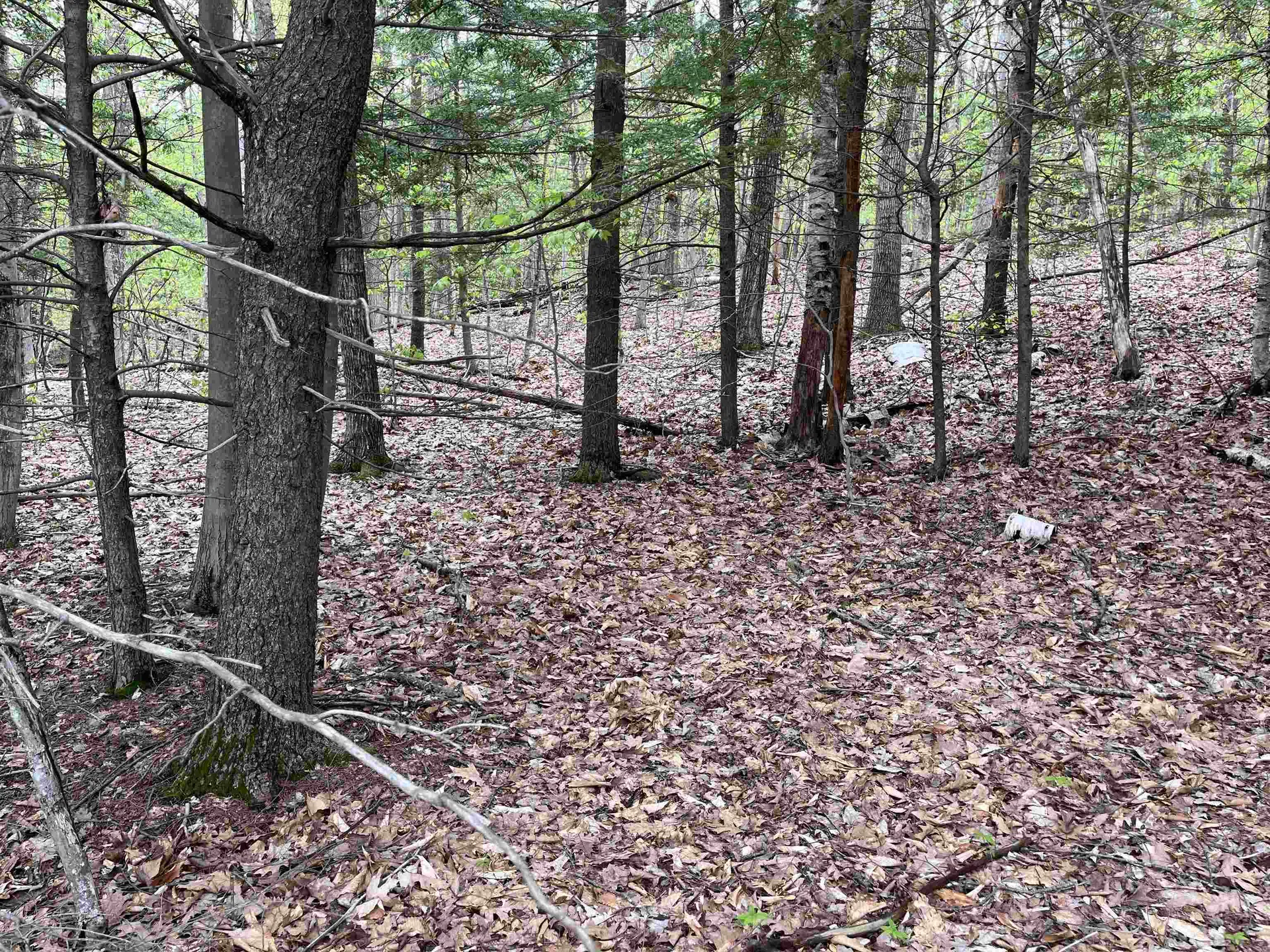 Lot 81 Plumer Hill Road Alexandria NH 03222