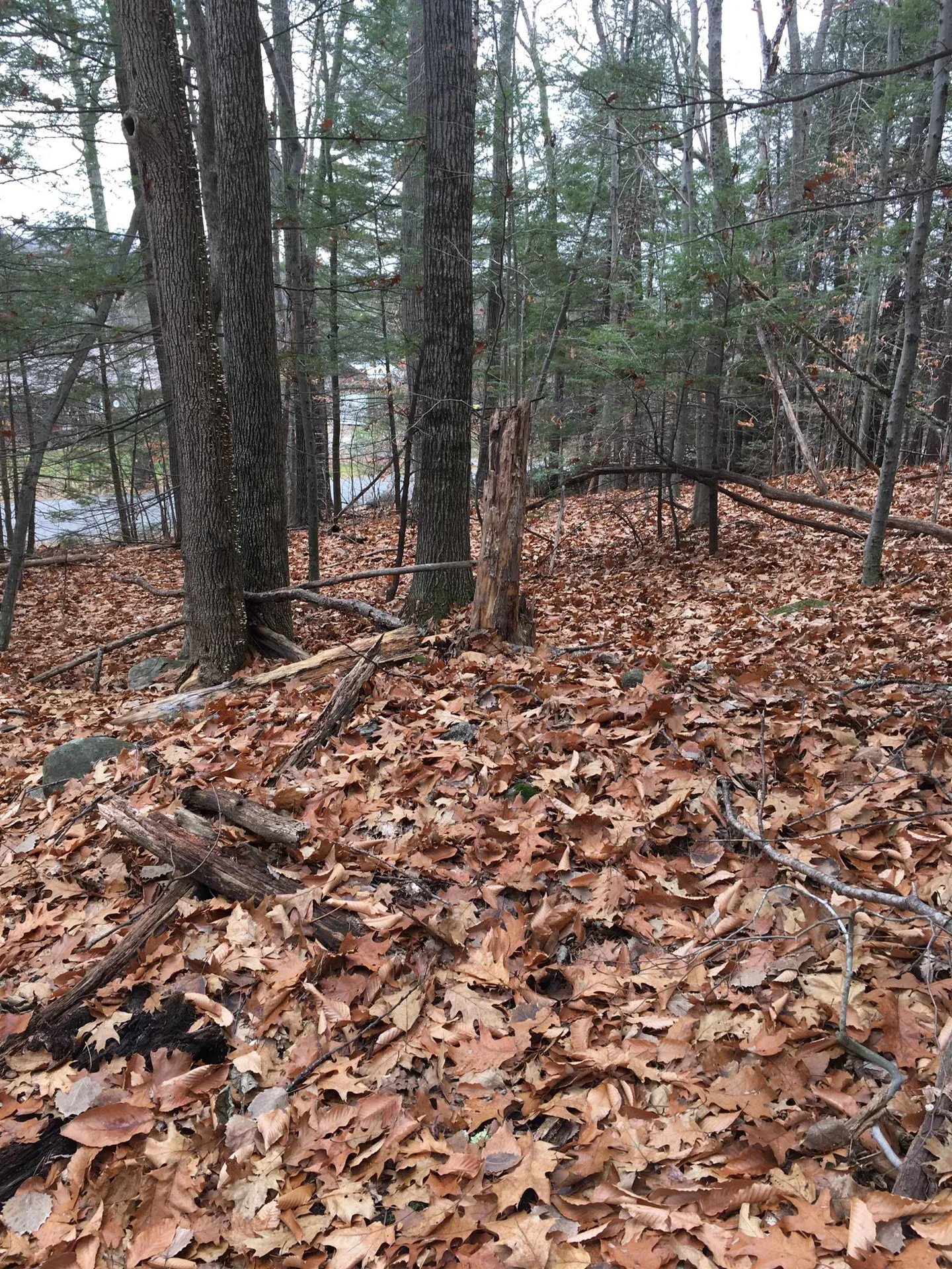 Lot 81 Plumer Hill Road Alexandria NH 03222