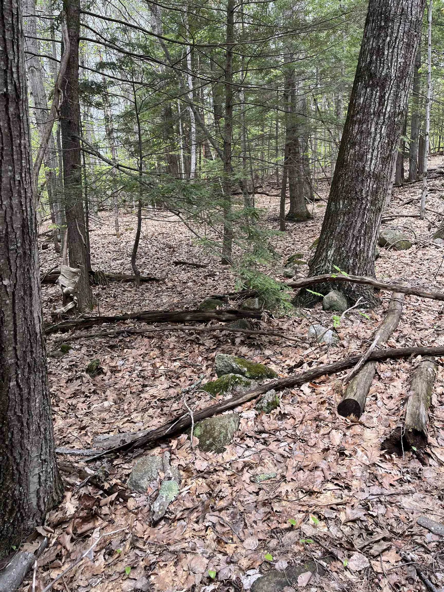 Lot 81 Plumer Hill Road Alexandria NH 03222