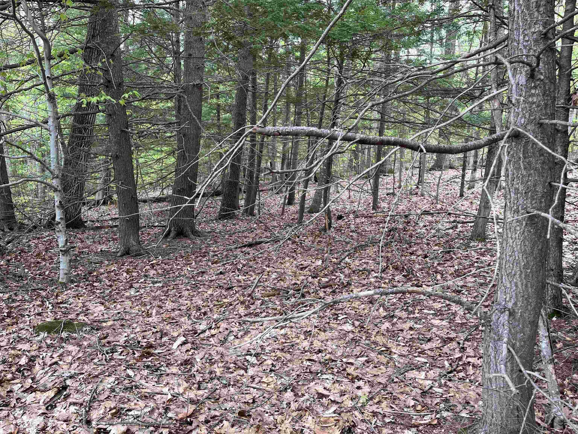 Lot 81 Plumer Hill Road Alexandria NH 03222