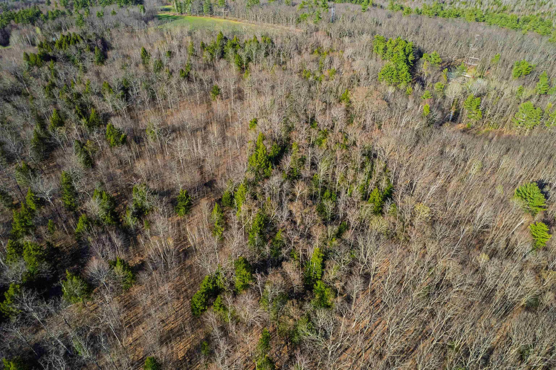 Lot 81 Plumer Hill Road Alexandria NH 03222