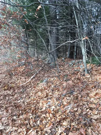 Lot 81 Plumer Hill Road Alexandria NH 03222