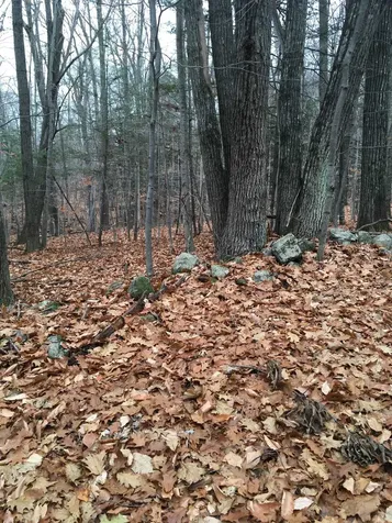 Lot 81 Plumer Hill Road Alexandria NH 03222