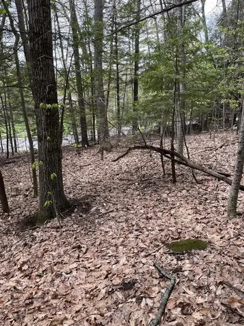 Lot 81 Plumer Hill Road Alexandria NH 03222