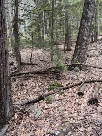 Lot 81 Plumer Hill Road Alexandria NH 03222