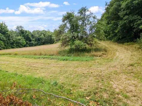 21 Wild Acres Road Gilford NH 03249