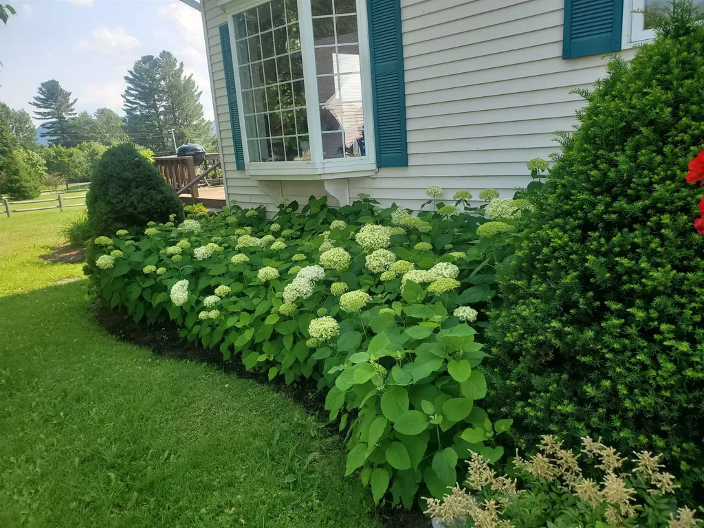 93 Stoney Brook Lane Westmore VT 05860