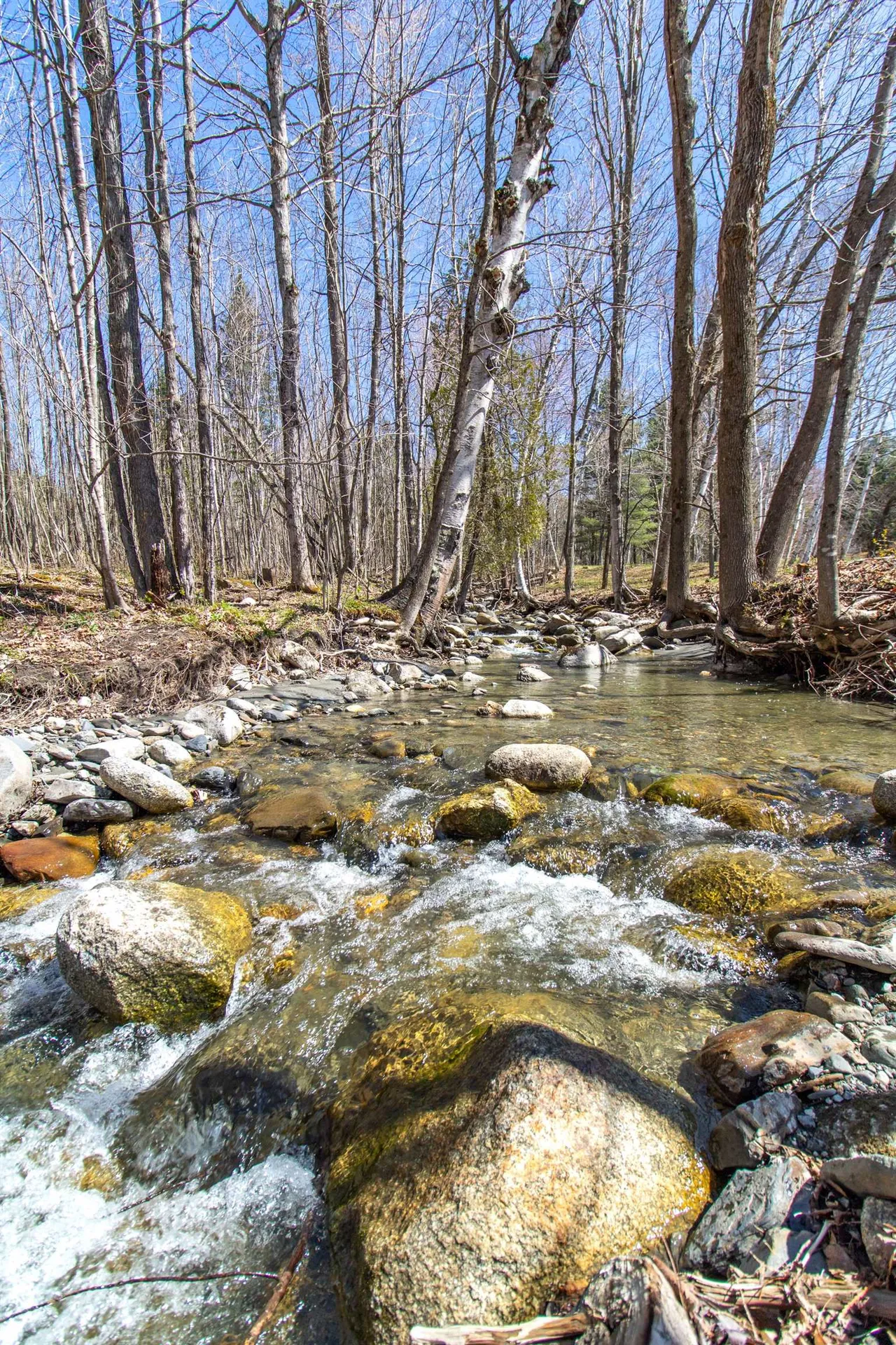 93 Stoney Brook Lane Westmore VT 05860