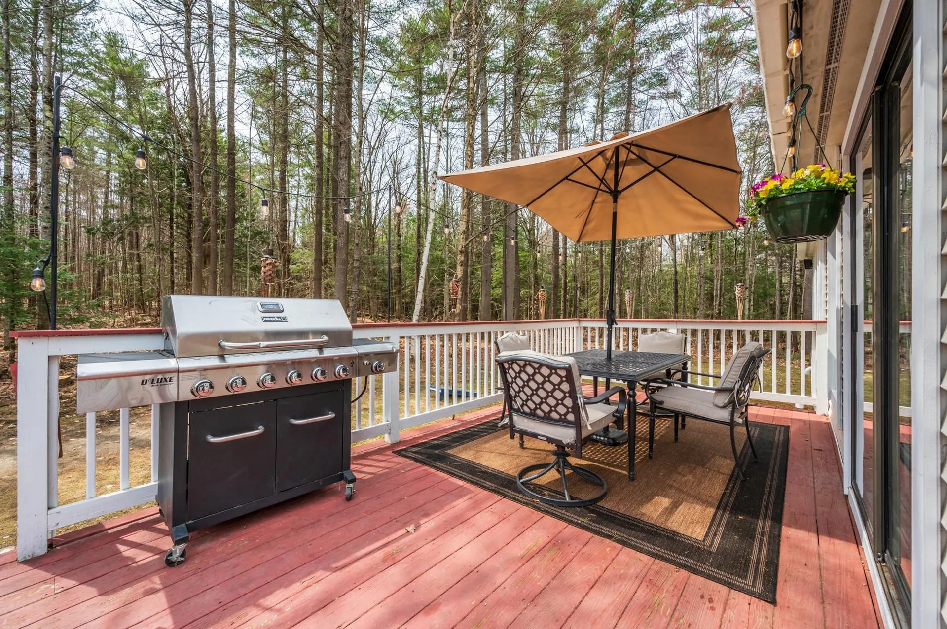 223 Cross Road Goshen NH 03752