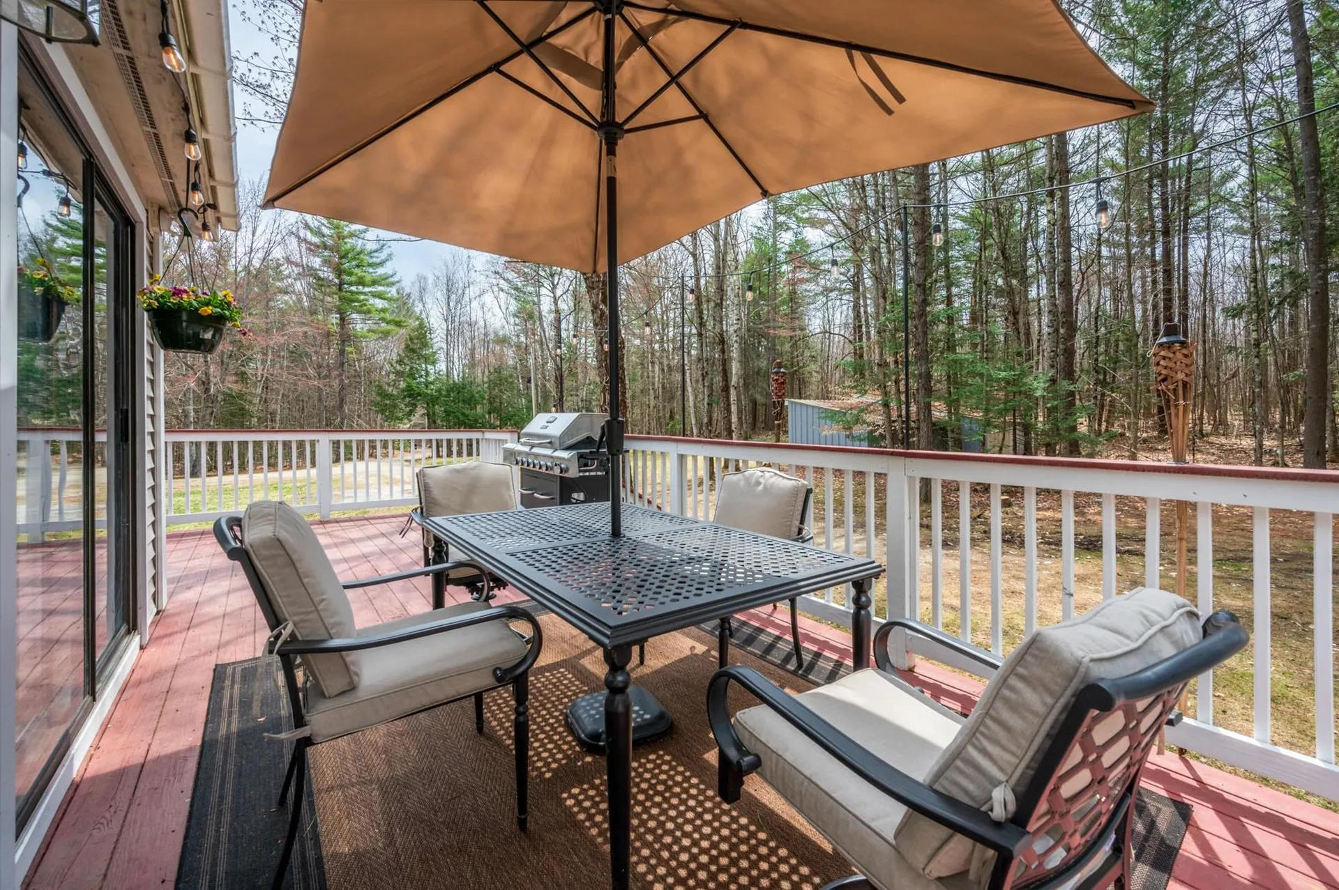 223 Cross Road Goshen NH 03752