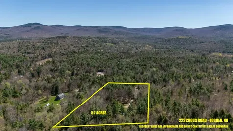 223 Cross Road Goshen NH 03752