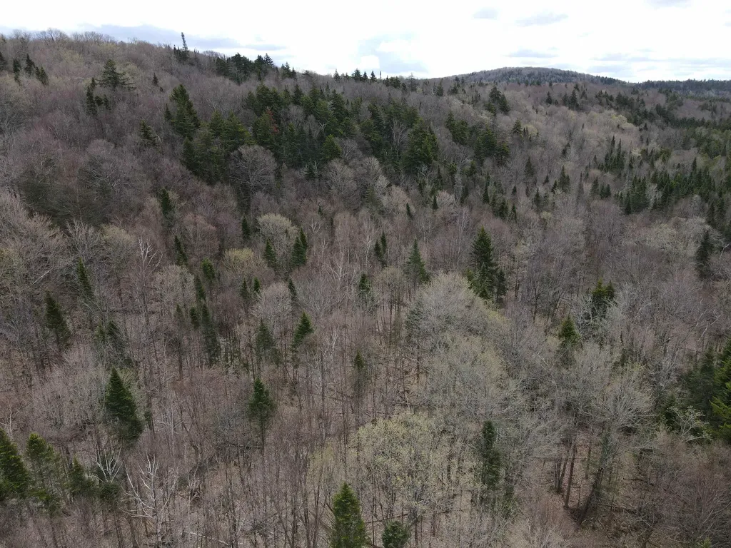 0 Andersonville Road Glover VT 05875