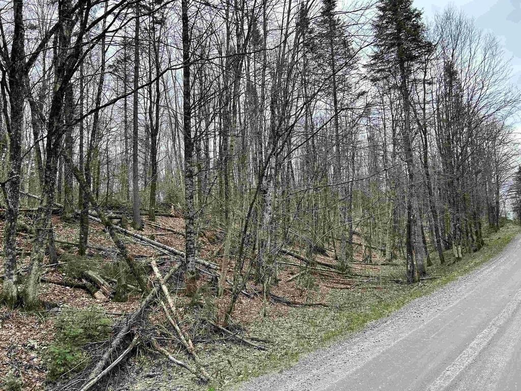 0 Andersonville Road Glover VT 05875