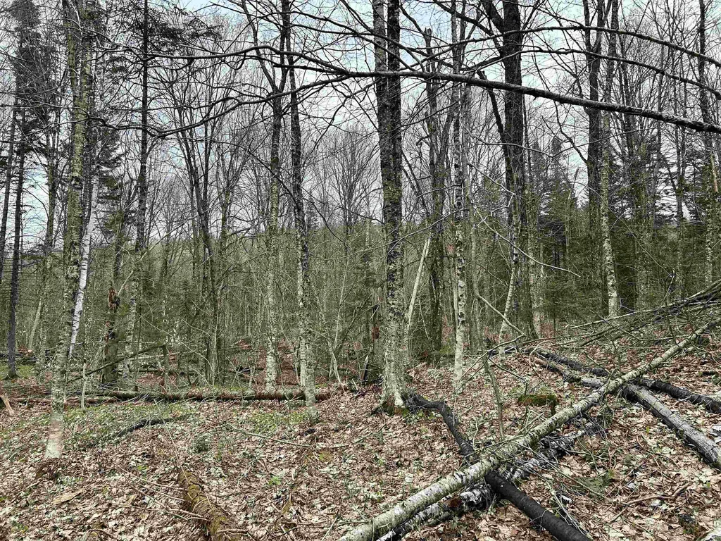 0 Andersonville Road Glover VT 05875