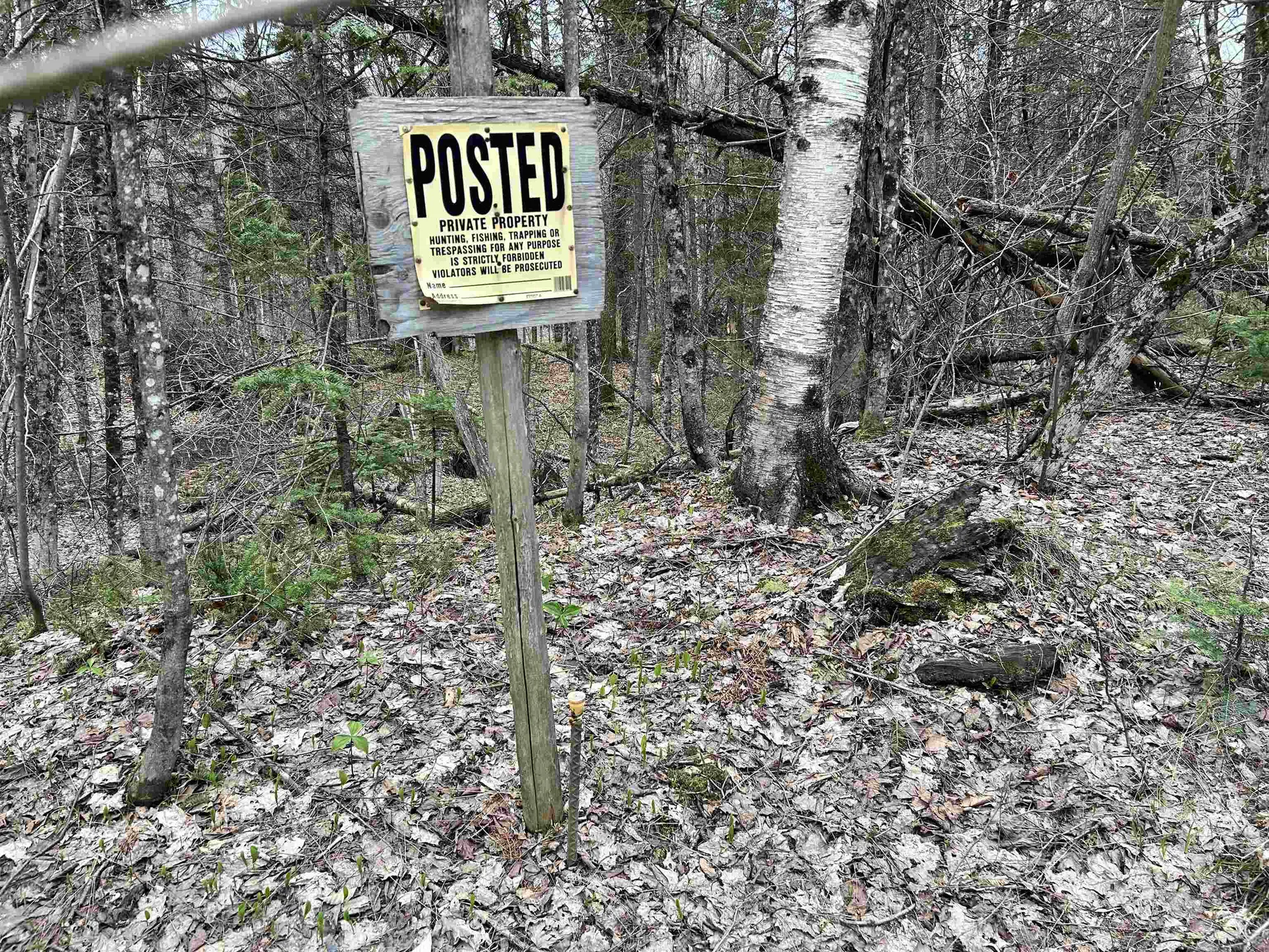 0 Andersonville Road Glover VT 05875