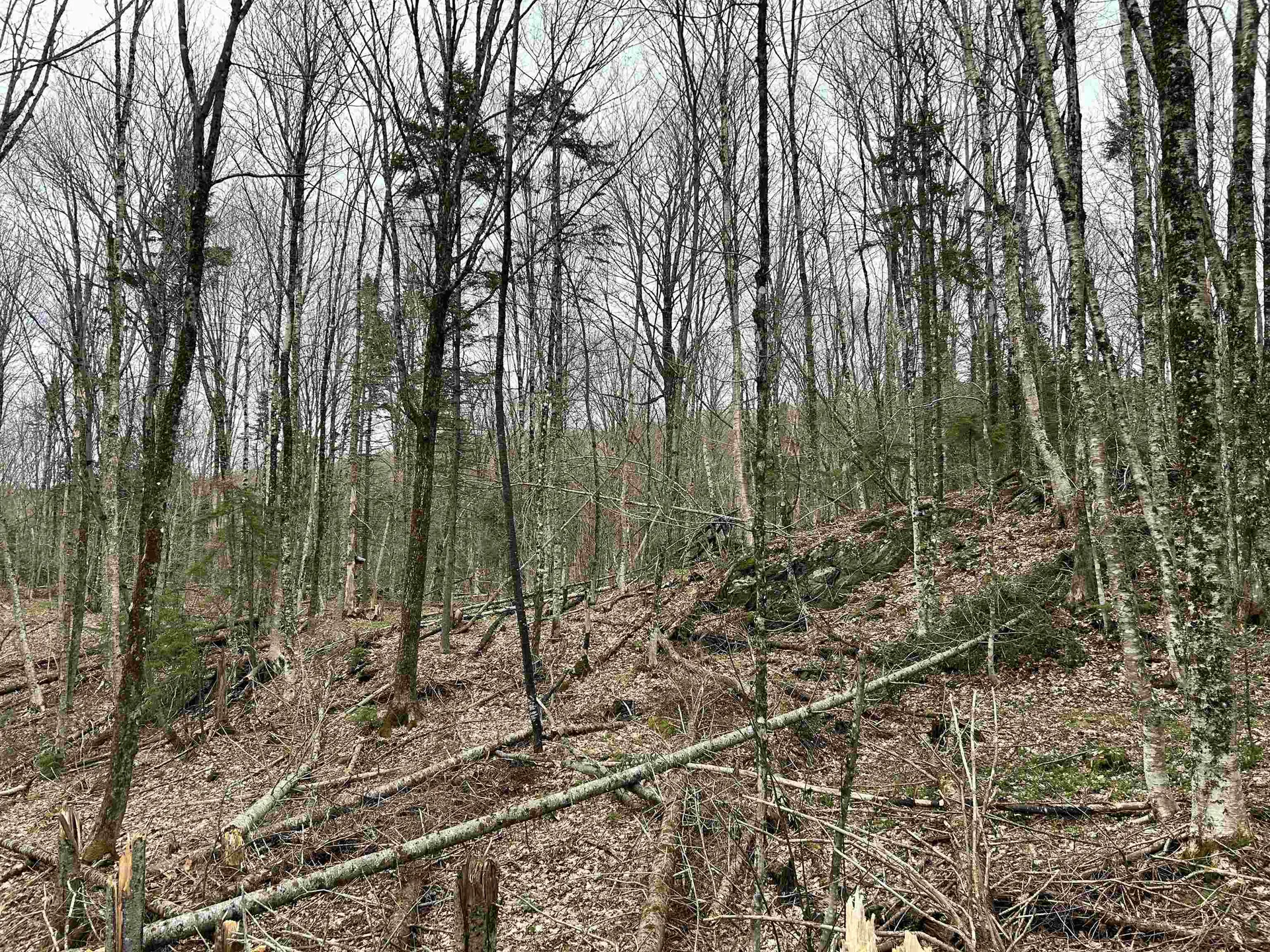 0 Andersonville Road Glover VT 05875