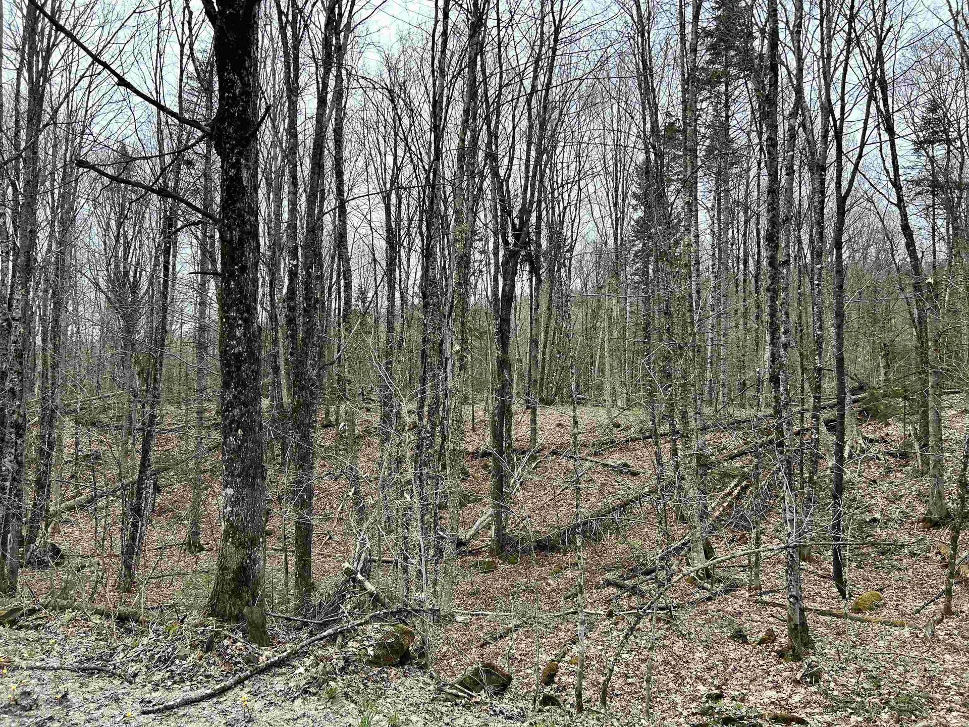 0 Andersonville Road Glover VT 05875