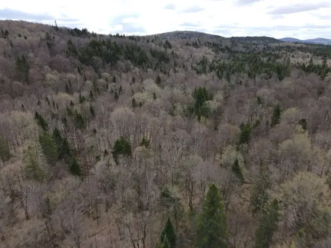 0 Andersonville Road Glover VT 05875