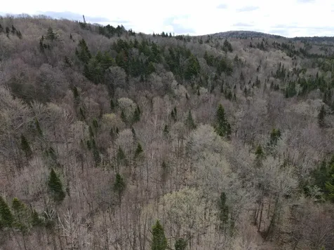 0 Andersonville Road Glover VT 05875