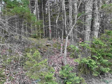 0 Andersonville Road Glover VT 05875