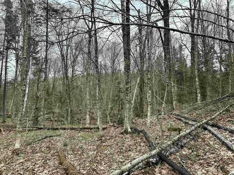 0 Andersonville Road Glover VT 05875