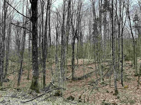 0 Andersonville Road Glover VT 05875