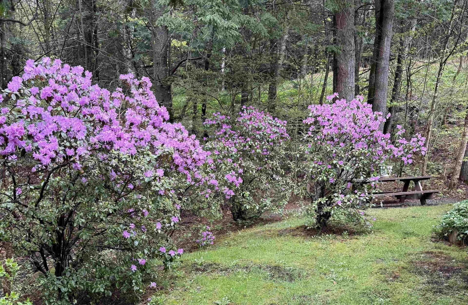 82 Hiram Atkins Byway Hartford VT 05059