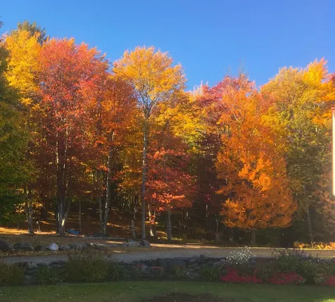 55 View Point Road Putney VT 05346