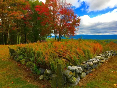 55 View Point Road Putney VT 05346