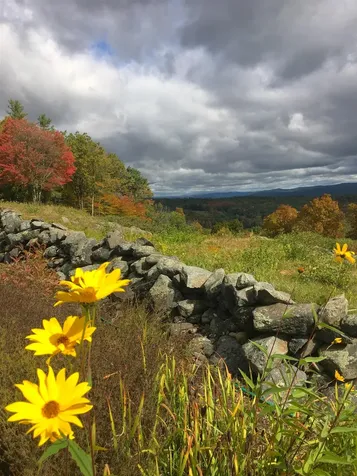 55 View Point Road Putney VT 05346