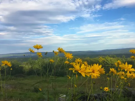 55 View Point Road Putney VT 05346