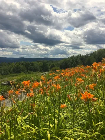 55 View Point Road Putney VT 05346