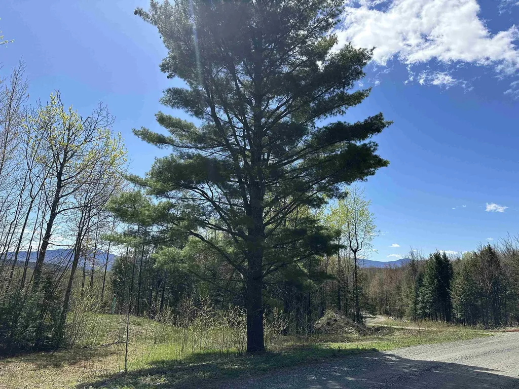 274 Deerfield Hills Road Morristown VT 05661