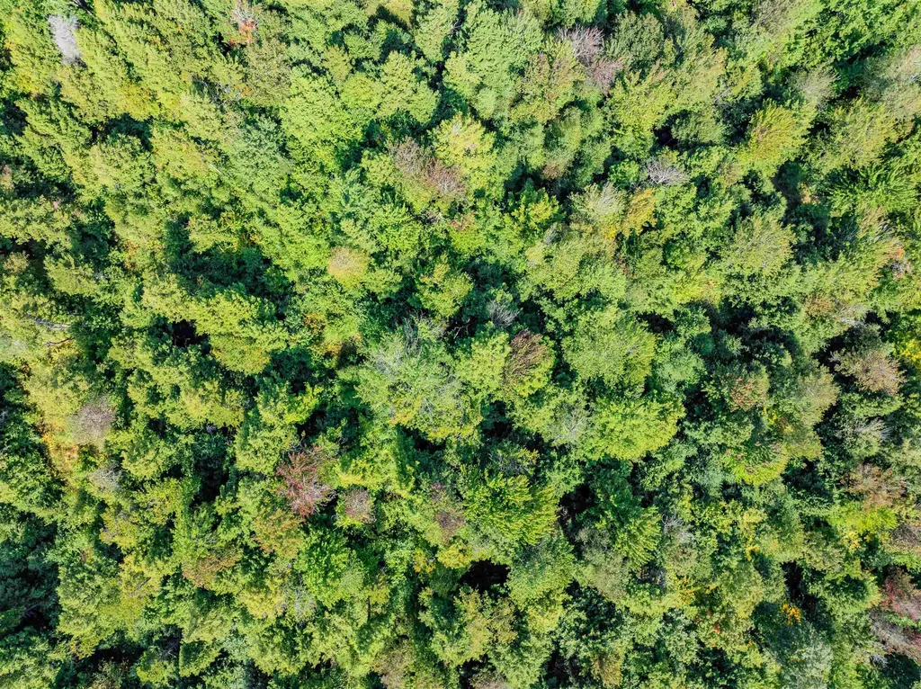 274 Deerfield Hills Road Morristown VT 05661