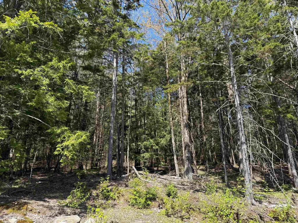 274 Deerfield Hills Road Morristown VT 05661