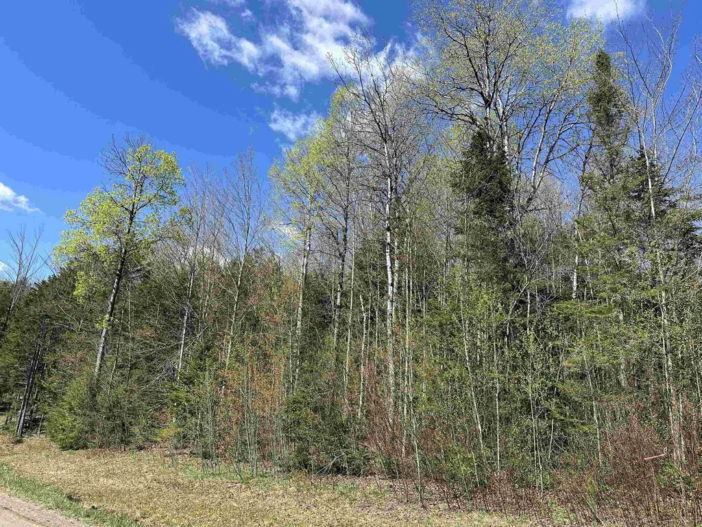 274 Deerfield Hills Road Morristown VT 05661