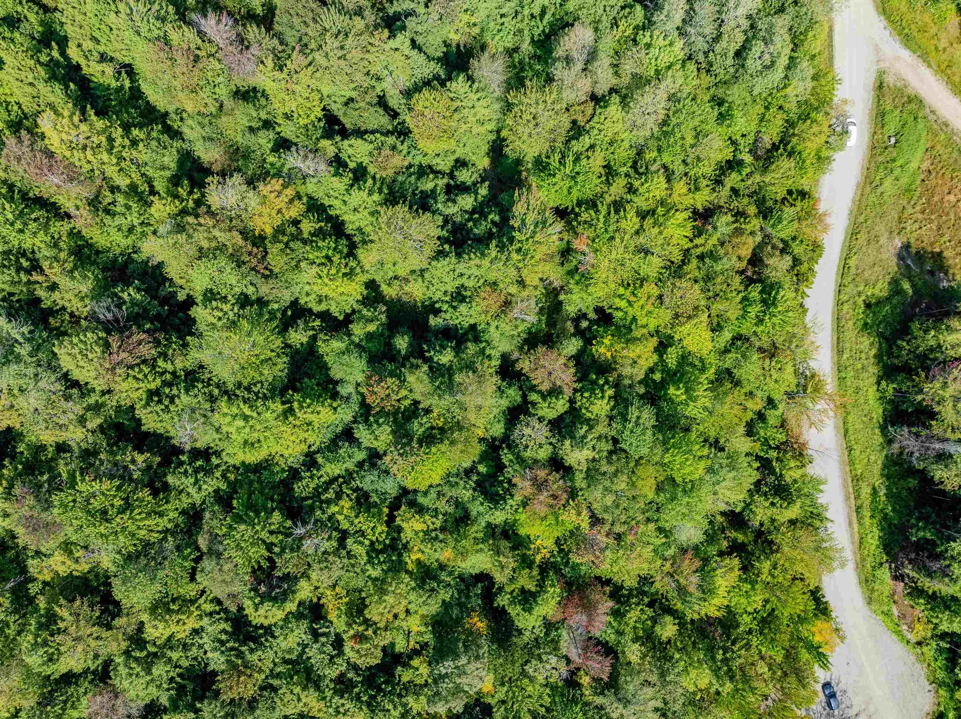 274 Deerfield Hills Road Morristown VT 05661