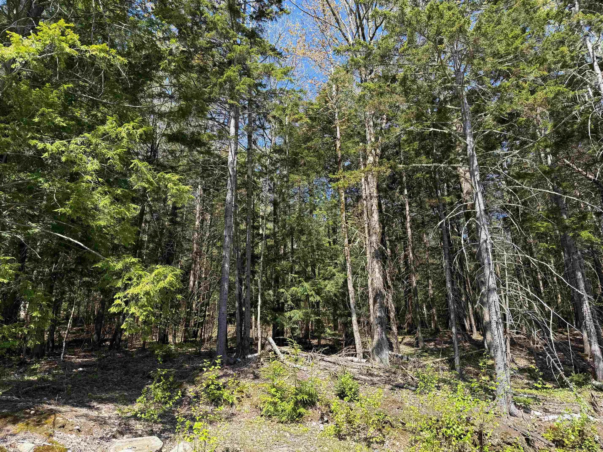 274 Deerfield Hills Road Morristown VT 05661