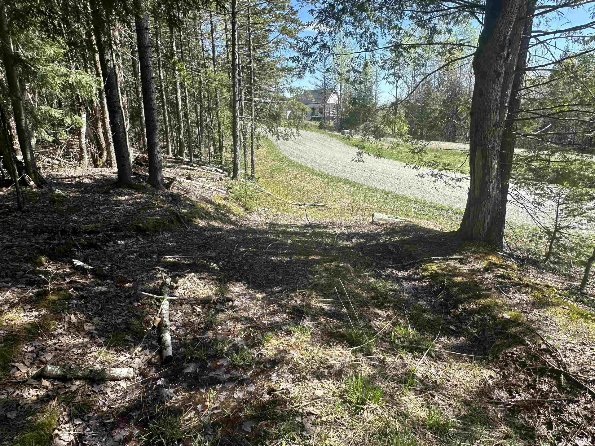 274 Deerfield Hills Road Morristown VT 05661