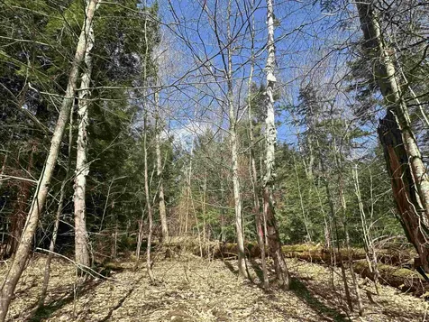 274 Deerfield Hills Road Morristown VT 05661