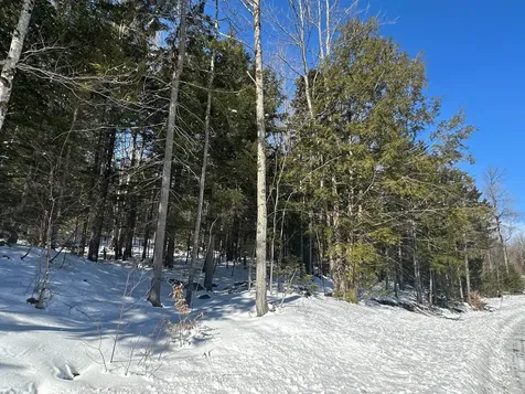 274 Deerfield Hills Road Morristown VT 05661