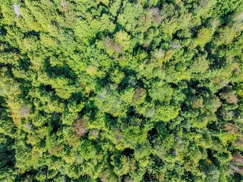 274 Deerfield Hills Road Morristown VT 05661