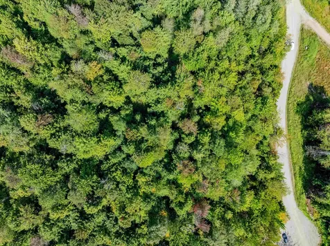 274 Deerfield Hills Road Morristown VT 05661