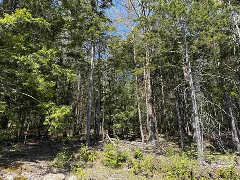 274 Deerfield Hills Road Morristown VT 05661