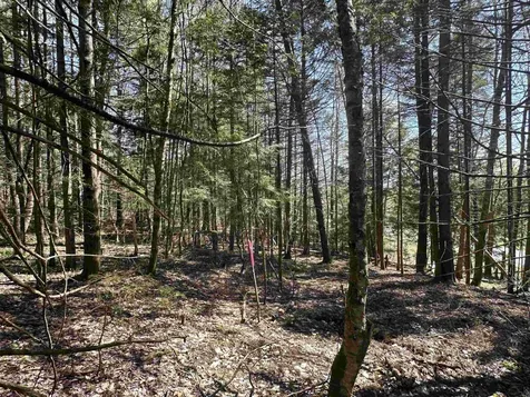 274 Deerfield Hills Road Morristown VT 05661