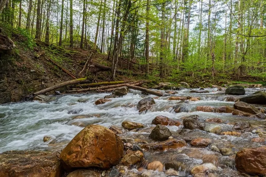 555 Brook Road Danby VT 05739