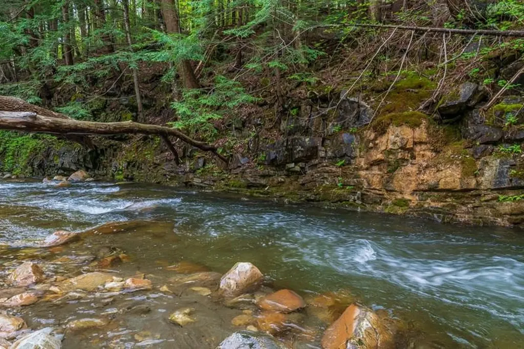 555 Brook Road Danby VT 05739